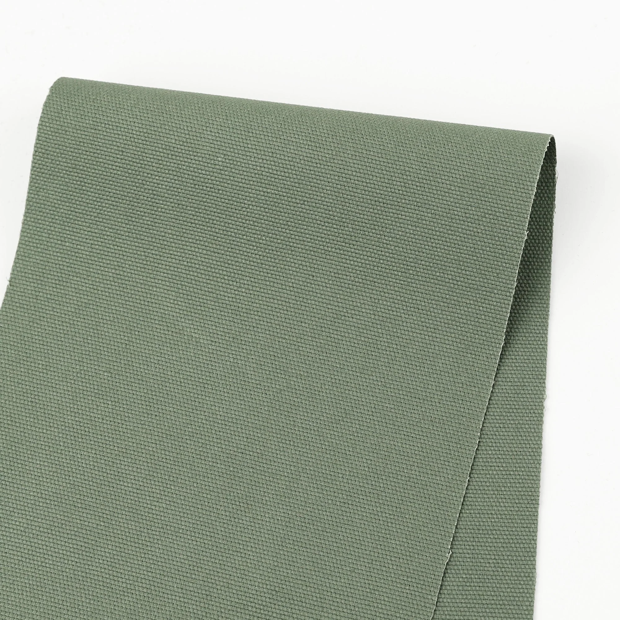Cotton Canvas - Eucalyptus
