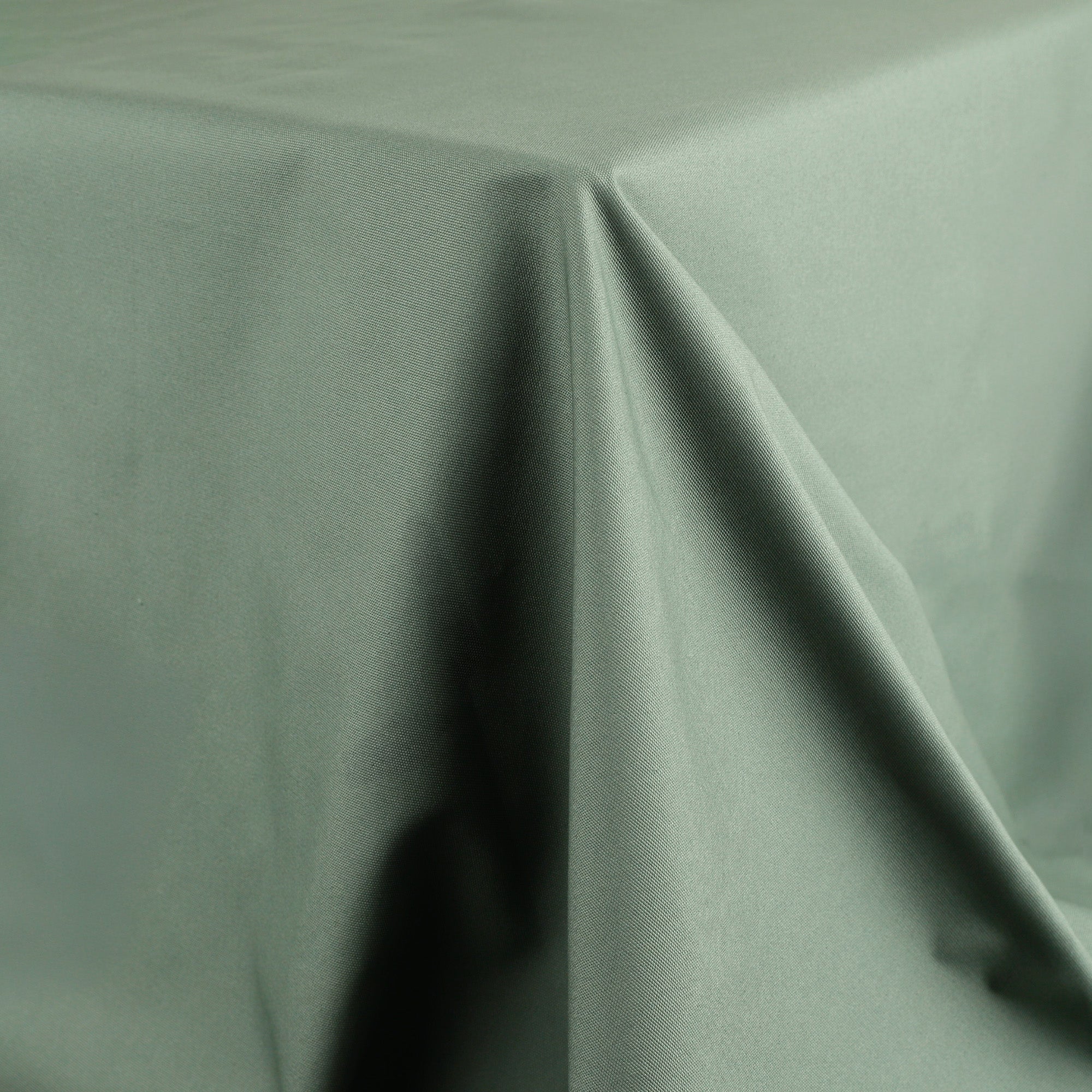 Cotton Canvas - Eucalyptus - Image 2